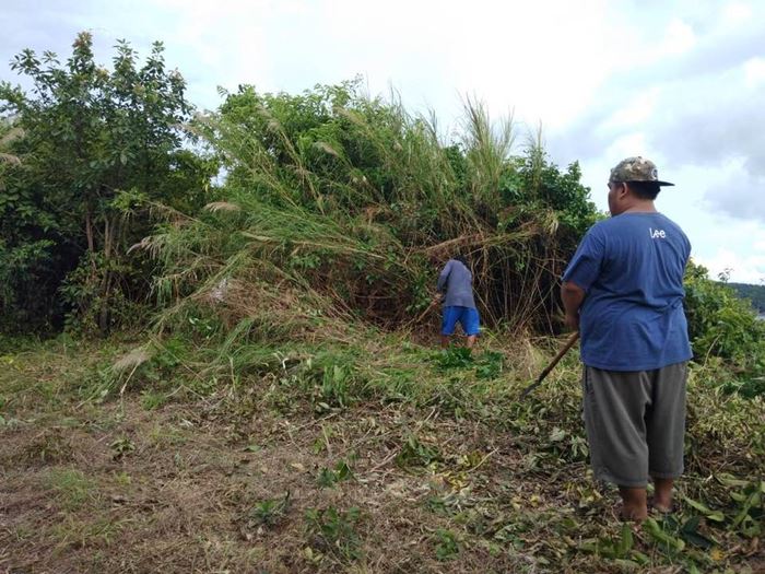 Sky View Cafe Sky View Cafe