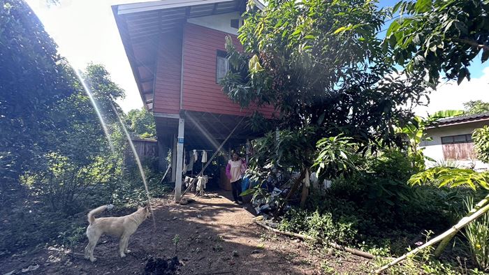 มาเฟียที่นา มาเฟียที่นา