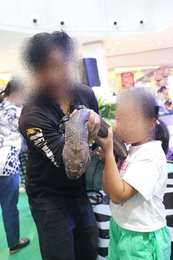 ดราม่าโชว์สัตว์ ดราม่าโชว์สัตว์