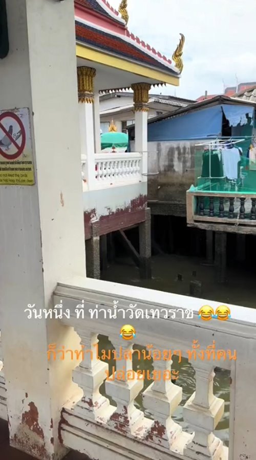 ปล่อยปลา ปล่อยปลา