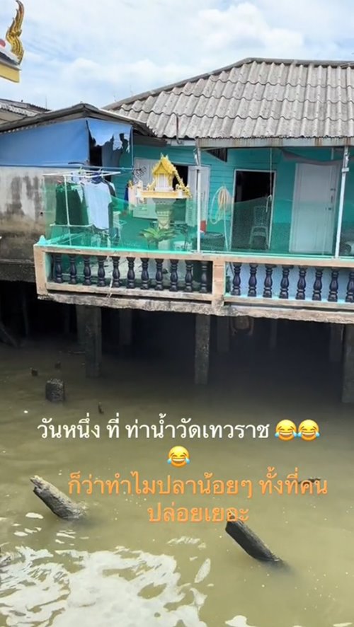 ปล่อยปลา ปล่อยปลา