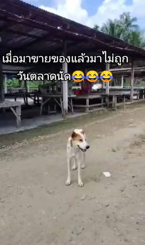 พ่อค้าตลาดนัด พ่อค้าตลาดนัด