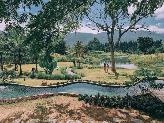 เก็บเงินเข้าคาเฟ่ เก็บเงินเข้าคาเฟ่