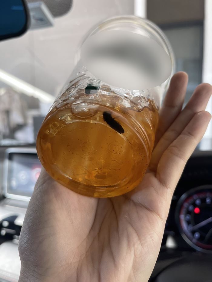 แมลงสาบในกาแฟ แมลงสาบในกาแฟ