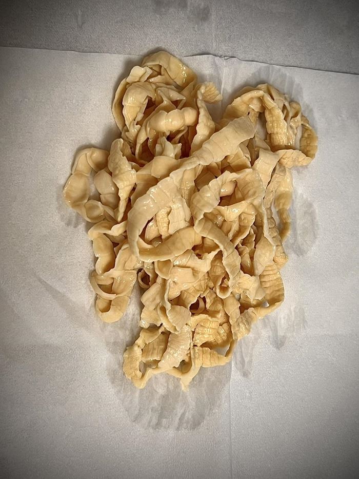 พยาธิ พยาธิ