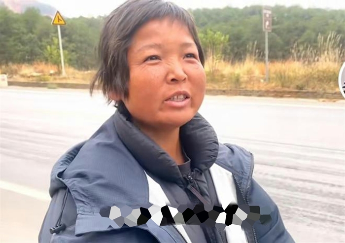 เดินป่า เดินป่า