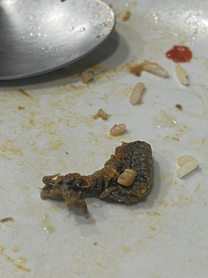 สิ่งแปลกปลอมในอาหาร สิ่งแปลกปลอมในอาหาร