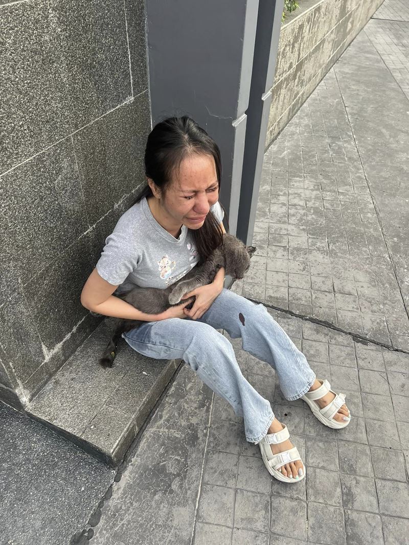 โยนแมวจากชั้น 21 โยนแมวจากชั้น 21