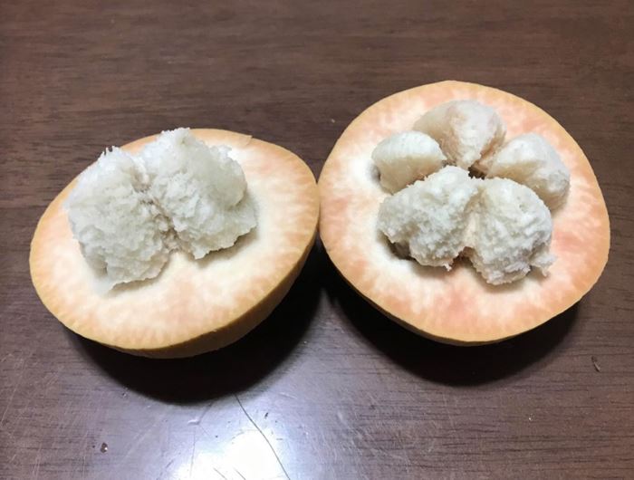 กระท้อน กระท้อน