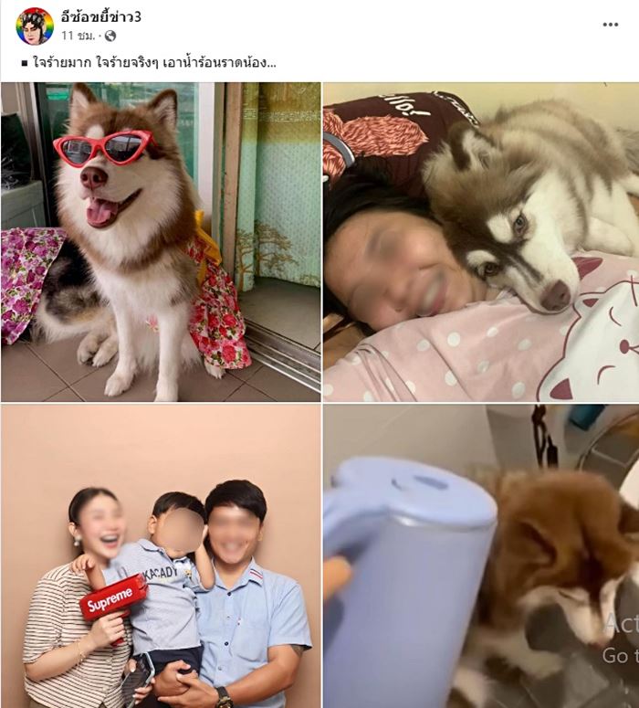 น้ำร้อนราดหัวหมา น้ำร้อนราดหัวหมา