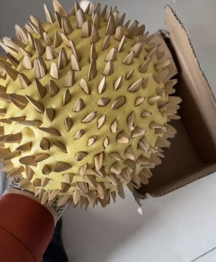 ทุเรียนปลอม ทุเรียนปลอม