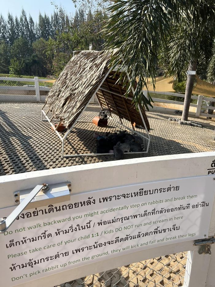 Bucolic Khaoyai Bucolic Khaoyai