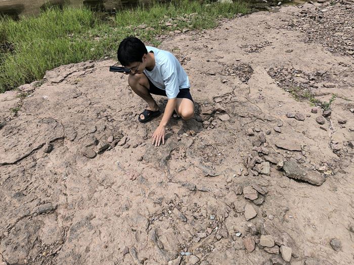 กระดูกไดโนเสาร์ กระดูกไดโนเสาร์