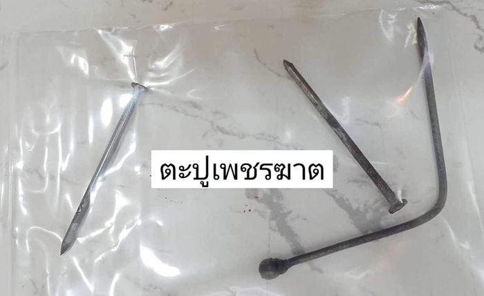 ทารุณกรรมสัตว์ ทารุณกรรมสัตว์