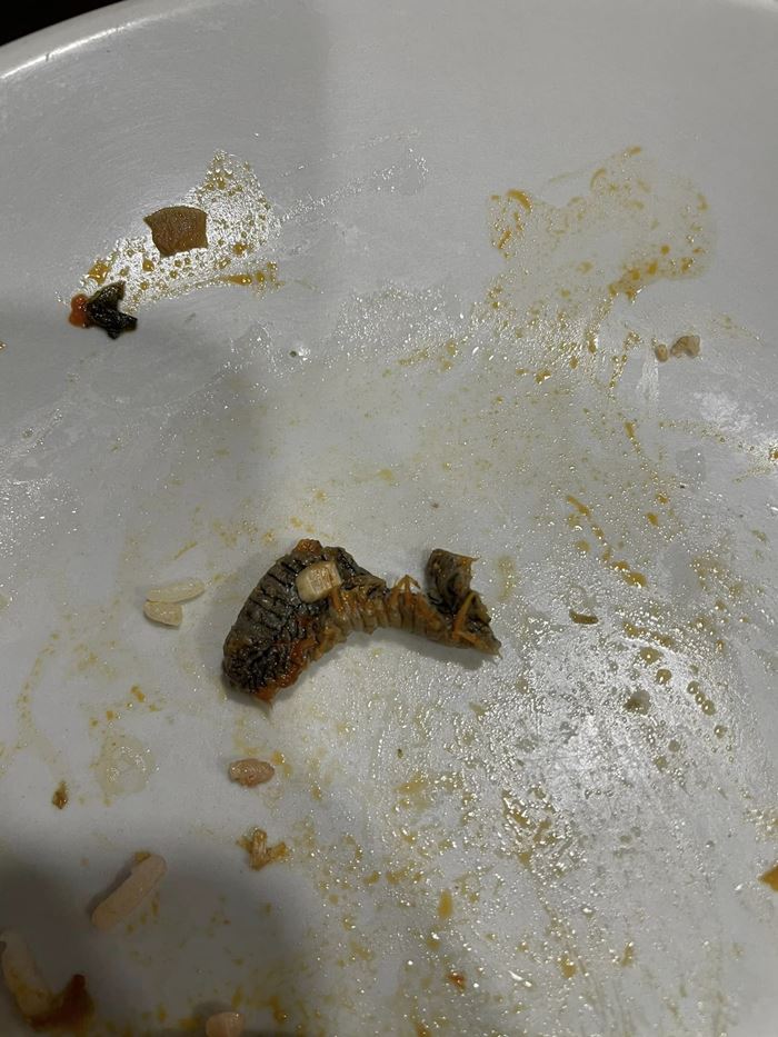 สิ่งแปลกปลอมในอาหาร สิ่งแปลกปลอมในอาหาร