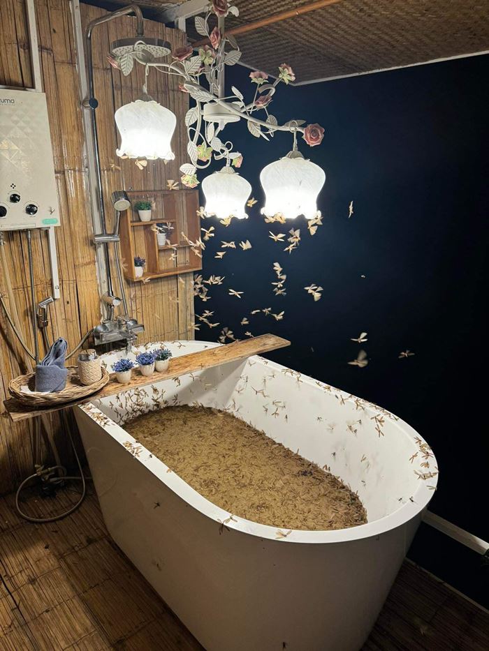 รีวิวที่พัก แมลงเม่าเต็มอ่าง รีวิวที่พัก แมลงเม่าเต็มอ่าง