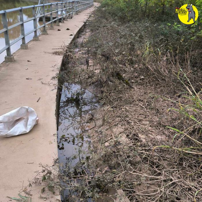 เขื่อนป้องกันตลิ่ง งบสร้าง 23 ล้าน อยู่ได้ปีเดียวทรุด เขื่อนป้องกันตลิ่ง งบสร้าง 23 ล้าน อยู่ได้ปีเดียวทรุด