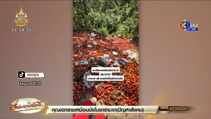 แม่ค้าเทมะเขือเทศทิ้งวันละพันตะกร้า พ้อขายไม่ได้ ราคาตกฮวบ แม่ค้าเทมะเขือเทศทิ้งวันละพันตะกร้า พ้อขายไม่ได้ ราคาตกฮวบ