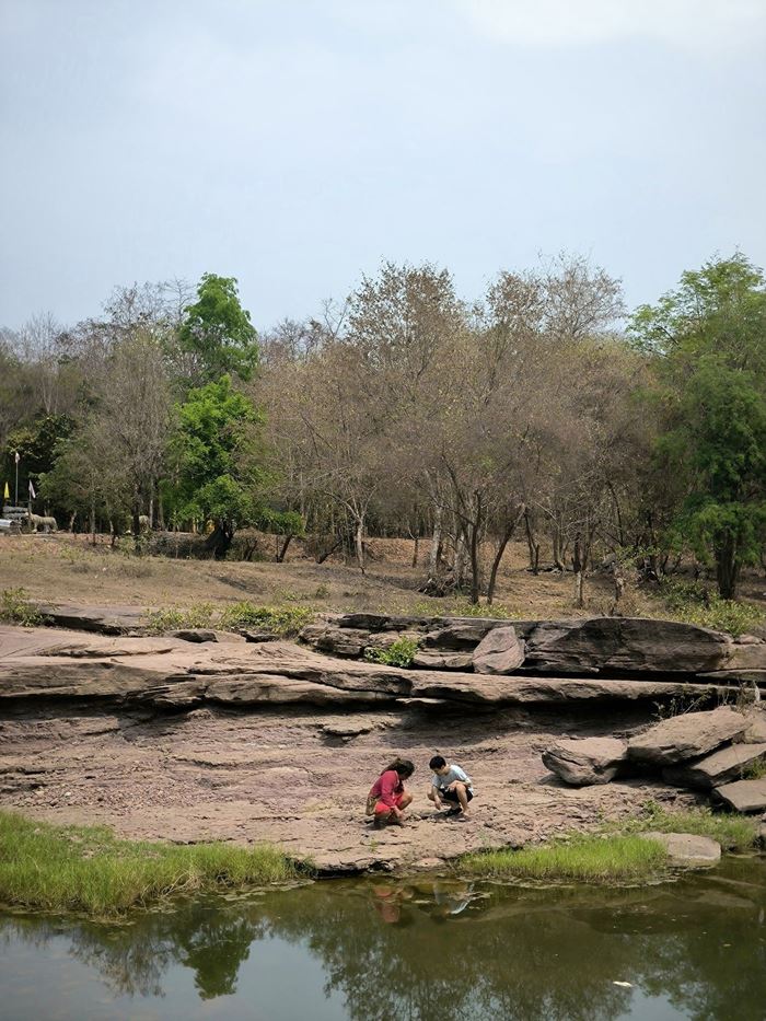 กระดูกไดโนเสาร์ กระดูกไดโนเสาร์