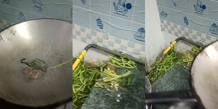 ผัดผักบุ้งไฟแดง ผัดผักบุ้งไฟแดง