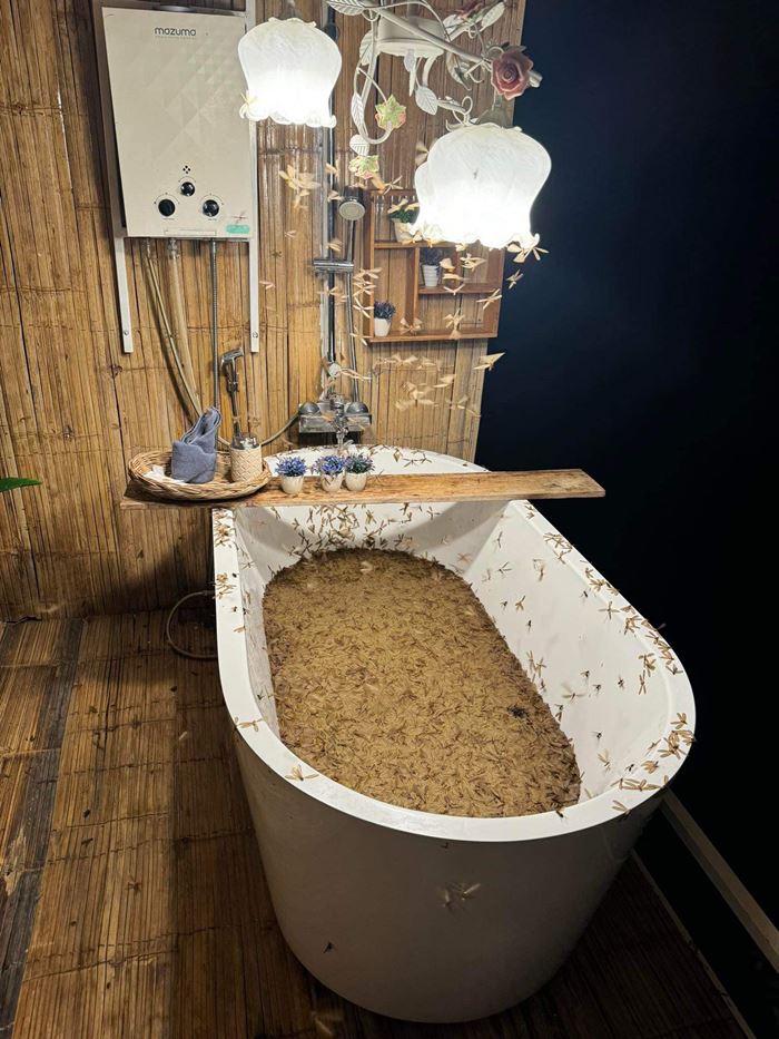 รีวิวที่พัก แมลงเม่าเต็มอ่าง รีวิวที่พัก แมลงเม่าเต็มอ่าง