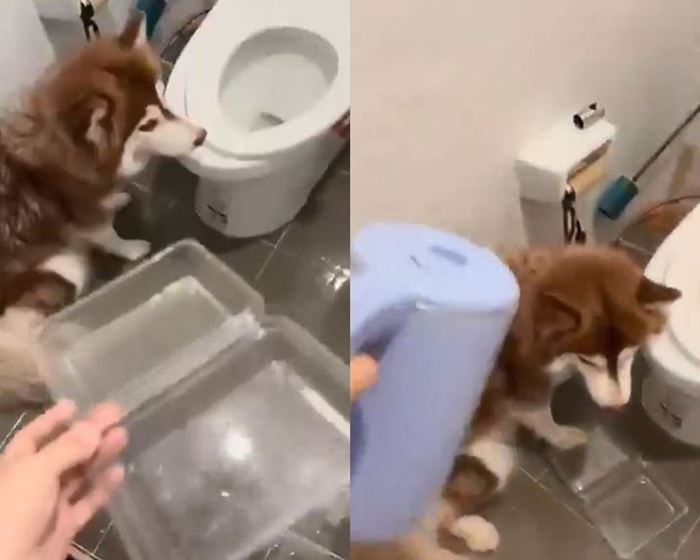 น้ำร้อนราดหัวหมา น้ำร้อนราดหัวหมา