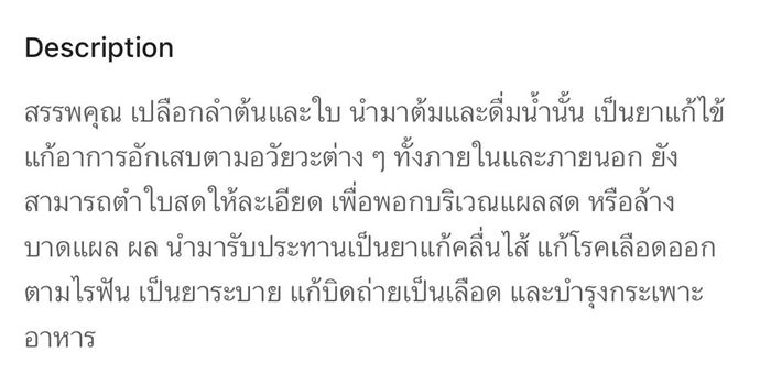 ใบมะม่วง ใบมะม่วง