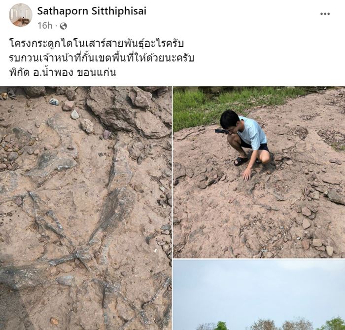 กระดูกไดโนเสาร์ กระดูกไดโนเสาร์