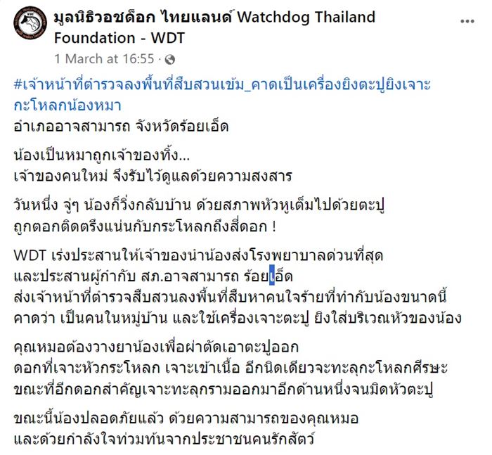 ทารุณกรรมสัตว์ ทารุณกรรมสัตว์