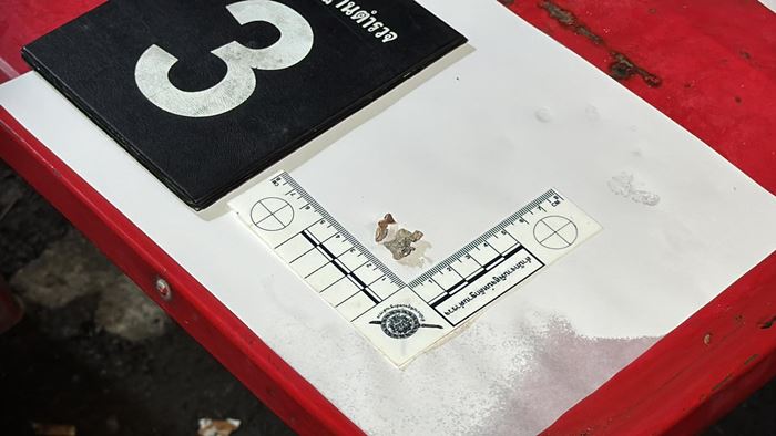 ทหารคลั่ง ทหารคลั่ง