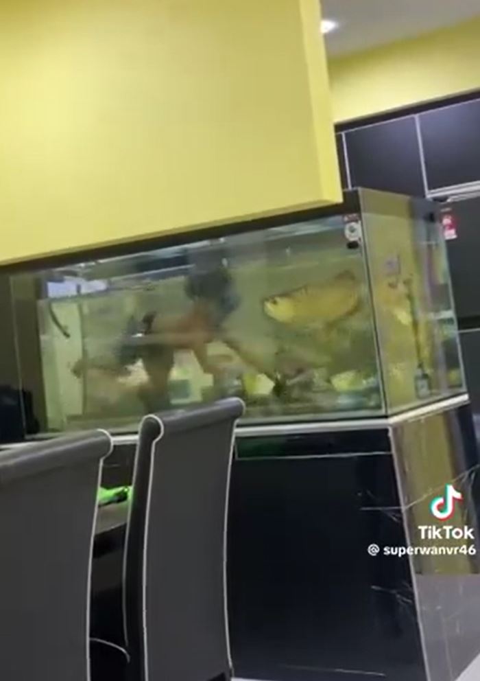 ทิ้งลูกให้พ่อ ทิ้งลูกให้พ่อ