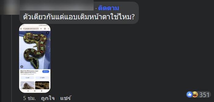 งูสวยงาม งูสวยงาม