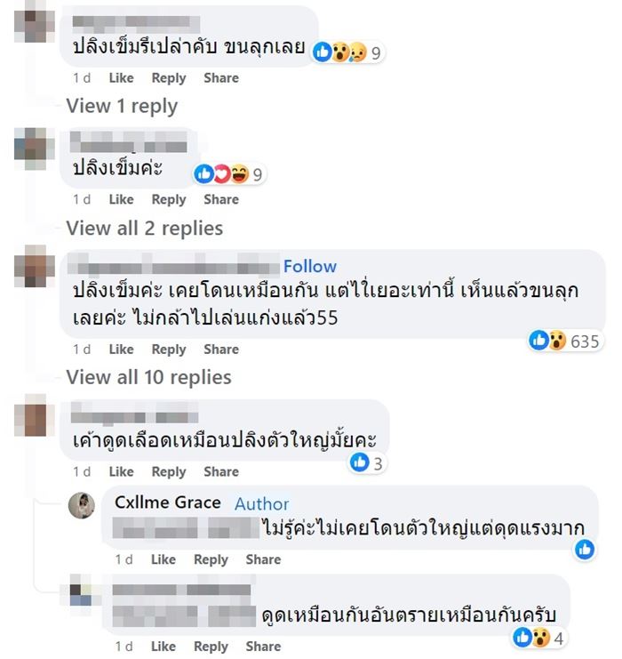 ปลิงเข็ม ปลิงเข็ม