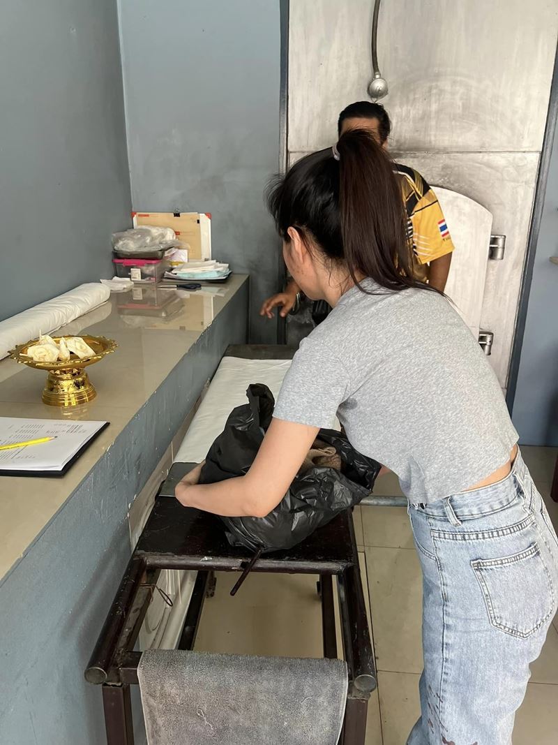 โยนแมวจากชั้น 21 โยนแมวจากชั้น 21