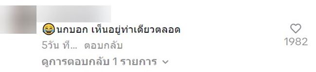 งูปลอม งูปลอม