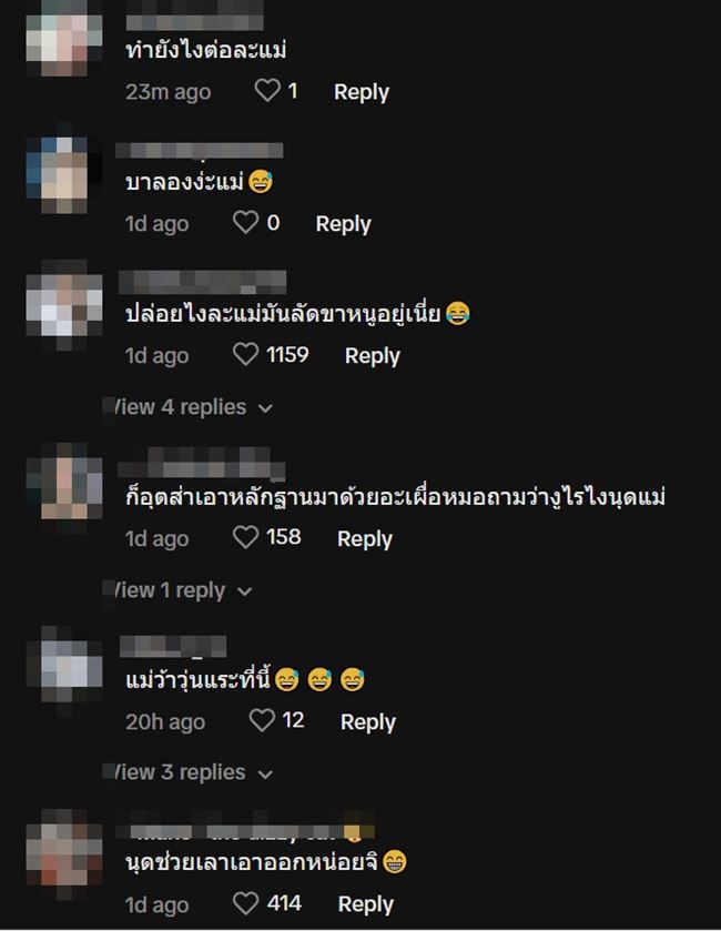 แมวคาบงู แมวคาบงู