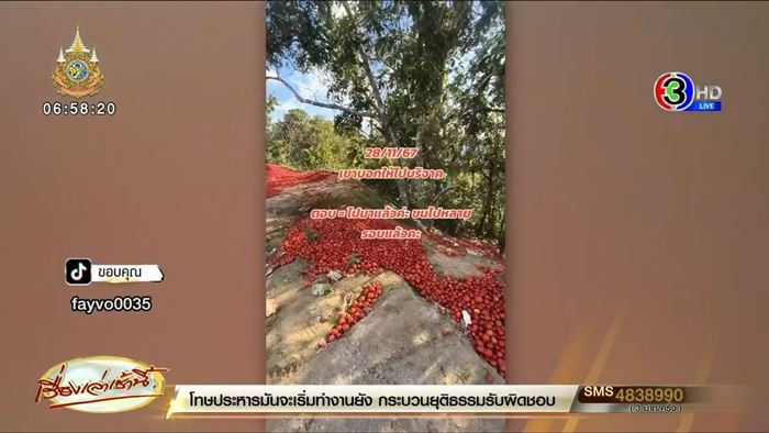 แม่ค้าเทมะเขือเทศทิ้งวันละพันตะกร้า พ้อขายไม่ได้ ราคาตกฮวบ แม่ค้าเทมะเขือเทศทิ้งวันละพันตะกร้า พ้อขายไม่ได้ ราคาตกฮวบ