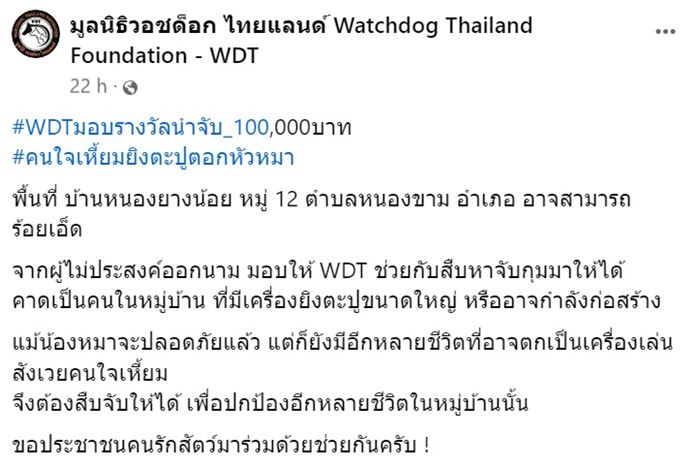 ทารุณกรรมสัตว์ ทารุณกรรมสัตว์
