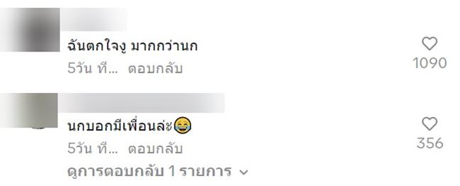 งูปลอม งูปลอม