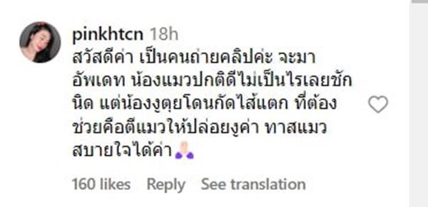 แมวคาบงู แมวคาบงู