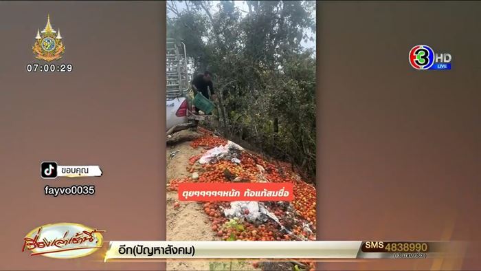 แม่ค้าเทมะเขือเทศทิ้งวันละพันตะกร้า พ้อขายไม่ได้ ราคาตกฮวบ แม่ค้าเทมะเขือเทศทิ้งวันละพันตะกร้า พ้อขายไม่ได้ ราคาตกฮวบ