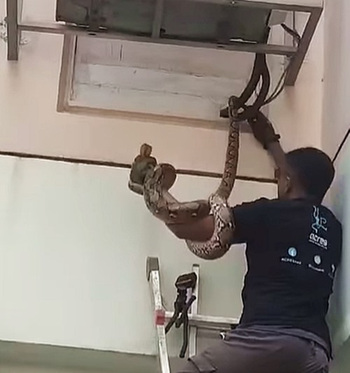 เจ้าของบ้านสะดุ้ง เสียงเคาะปริศนาดังข้างหน้าต่าง เจ้าของบ้านสะดุ้ง เสียงเคาะปริศนาดังข้างหน้าต่าง