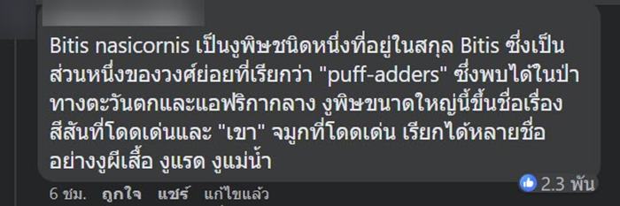 งูสวยงาม งูสวยงาม