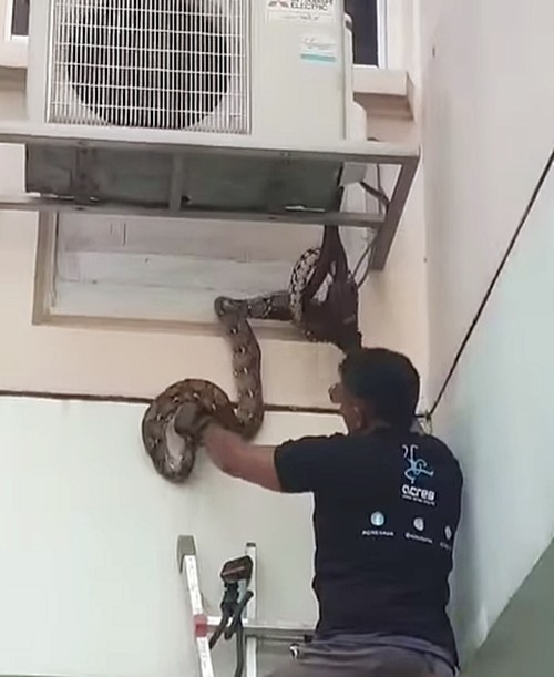 เจ้าของบ้านสะดุ้ง เสียงเคาะปริศนาดังข้างหน้าต่าง เจ้าของบ้านสะดุ้ง เสียงเคาะปริศนาดังข้างหน้าต่าง