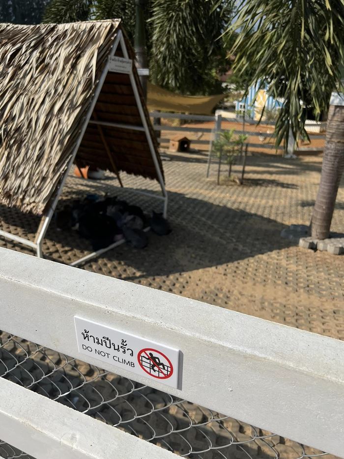 Bucolic Khaoyai Bucolic Khaoyai