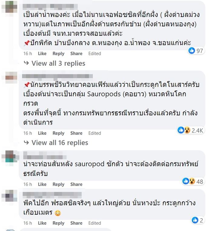 กระดูกไดโนเสาร์ กระดูกไดโนเสาร์