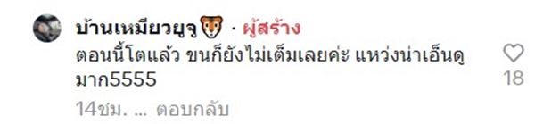 ไก่เบตง ไก่เบตง