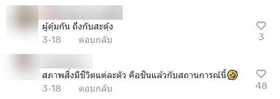 ออกไข่บนโซฟา ออกไข่บนโซฟา