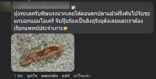 สิ่งแปลกปลอมในอาหาร สิ่งแปลกปลอมในอาหาร