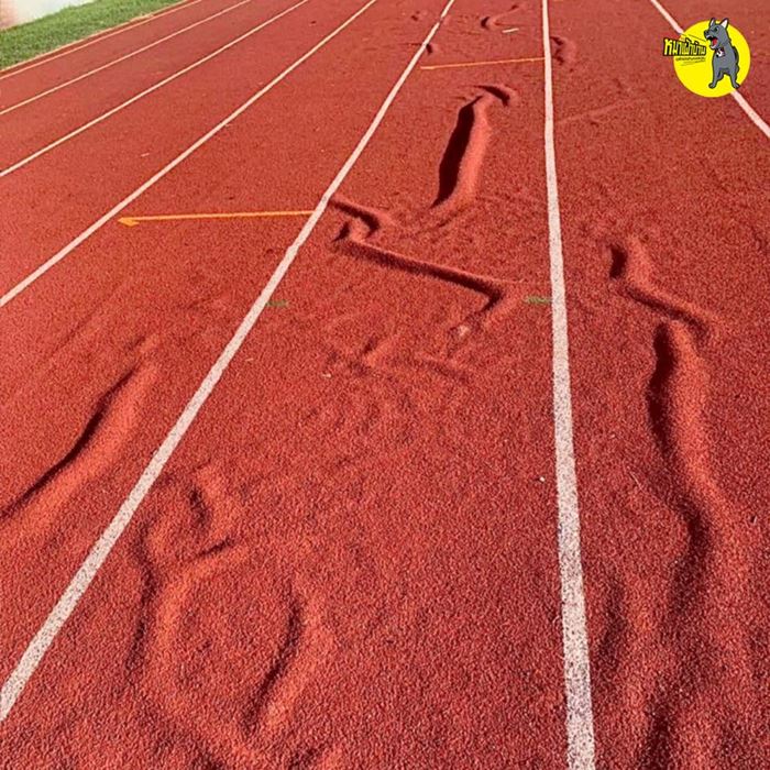 ลู่วิ่งนวัตกรรม 13 ล้าน ลู่วิ่งนวัตกรรม 13 ล้าน